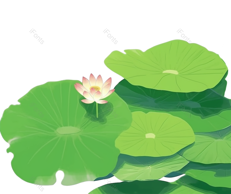 夏至图片,元素元素,清新PNG,荷花免抠素材